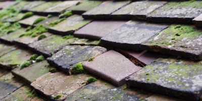 New Brighton roof repair costs